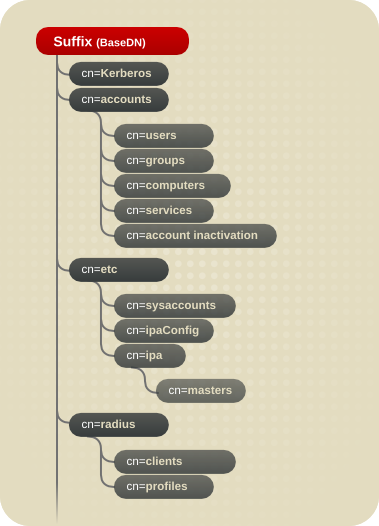 IPA DIT structure
